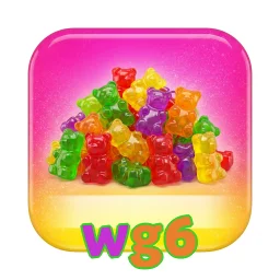 wg6
