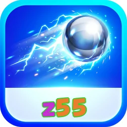 z55